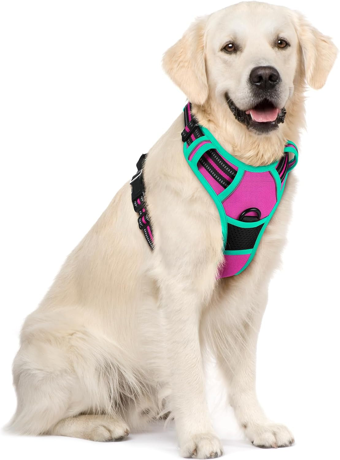 rabbitgoo-dog-harness-no-pull-for-large-dogs-with-2-leash-clips-pet-vest-no-choke-with-handle-adjustable-soft-padded-reflective-easy-control-for-walking-black-large