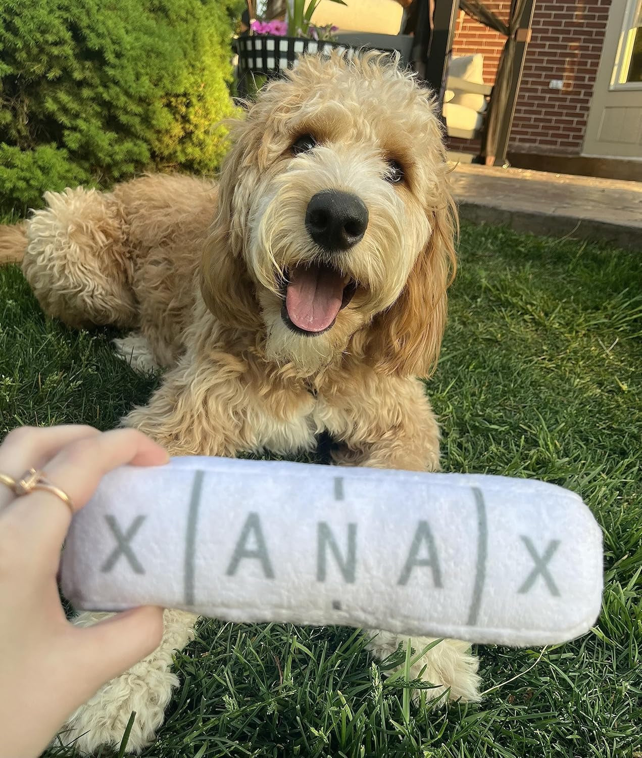 nestpark-chill-pup-funny-dog-toy-parody-plush-squeaky-crinkle-dog-toy