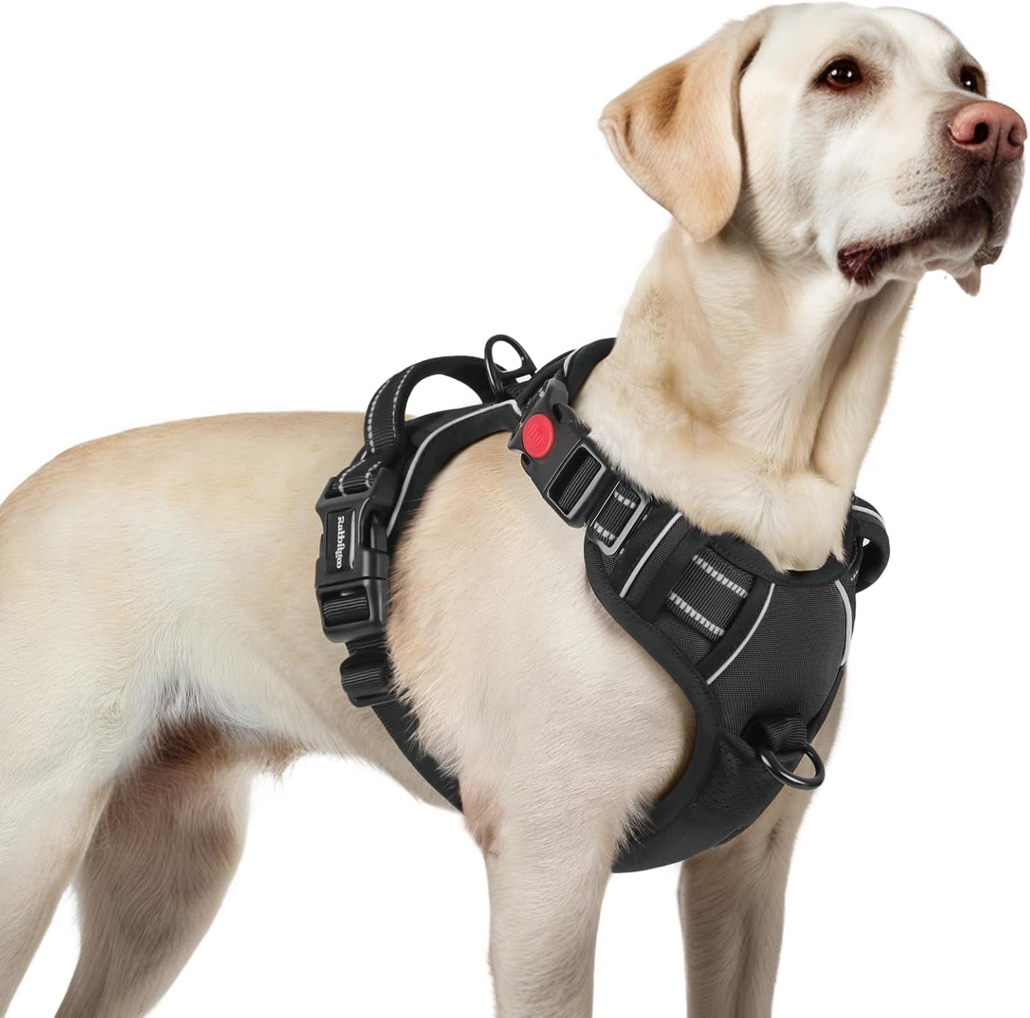rabbitgoo-dog-harness-medium-sized-updated-easy-on-off-with-3-buckles-no-pull-no-choke-walking-with-2-clips-and-handle-adjustable-soft-reflective-blue-medium
