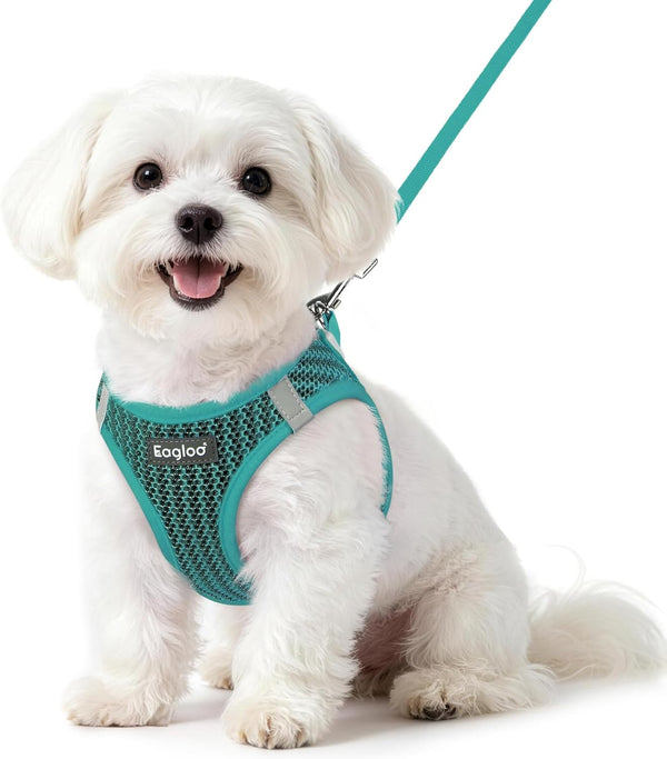 Eagloo Small Dog Harness and Leash Set, Step in Small Sized Puppy Pet Vest | Light, Soft, Breathable Air Mesh, Easy on and off with Hook & Loop, Reflective for Safe Walking, Pink, S13