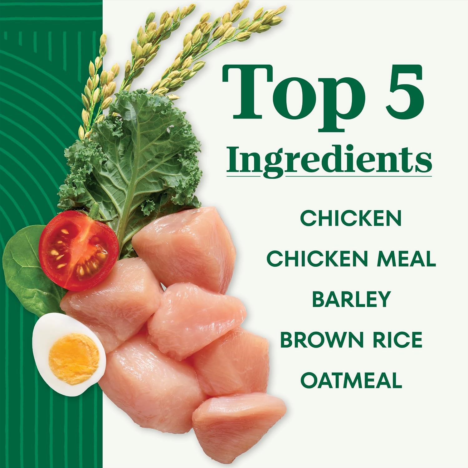nutro-natural-choice-healthy-weight-dry-dog-food-chicken-rice-30-lb-non-gmo-chicken-1-ingredient-no-corn-wheat-soy-supports-weight-loss-skin-coat-digestive-immune-health