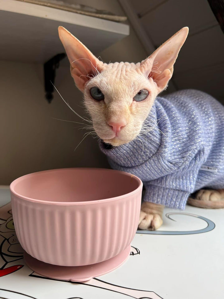Cat Bowls with Suction Cup 13 Oz — Elevated Silicone Pet Dish with Non-Slip Bottom for Dry Food, Wet Food and Water (Light Grey)+2
