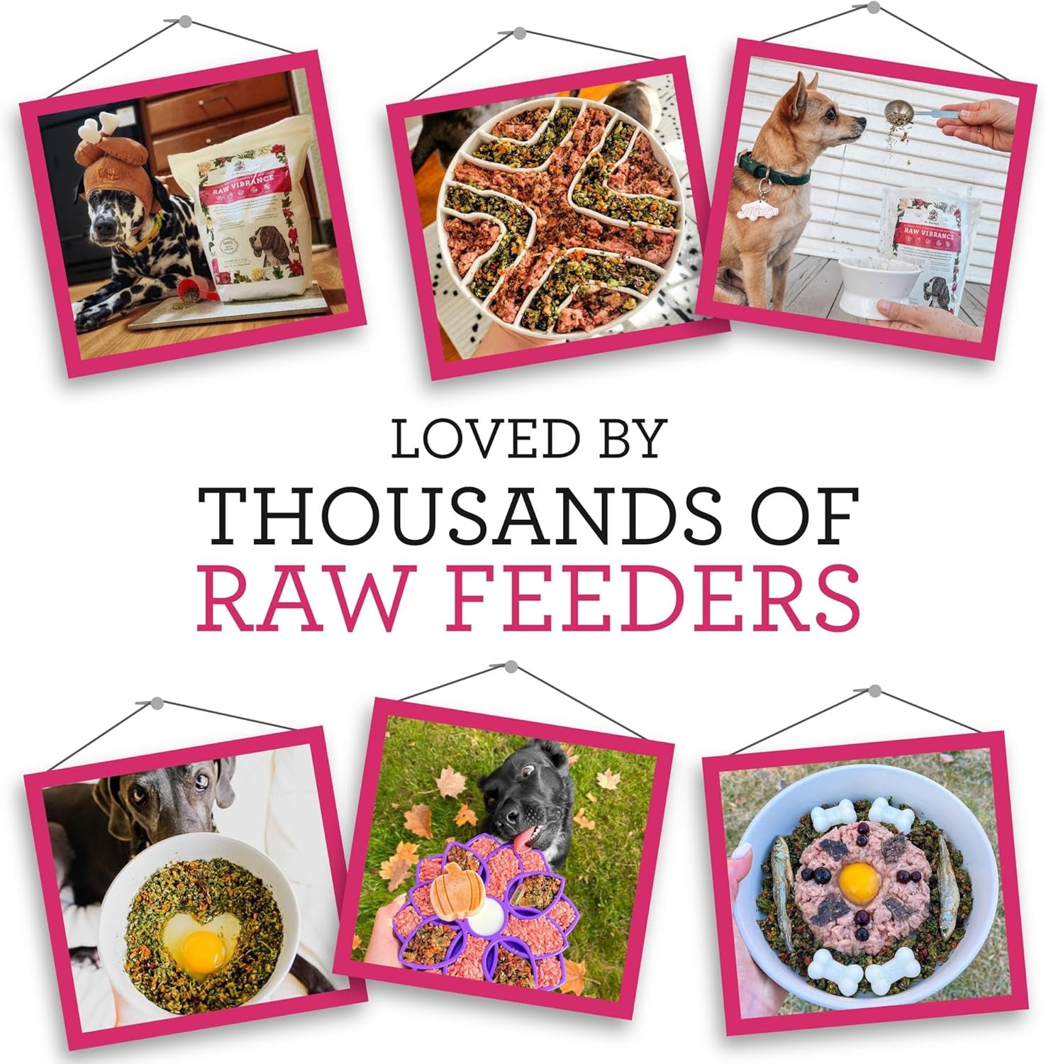 dr-harveys-raw-vibrance-dog-food-base-mix-6-lb-dehydrated-grain-free-foundation-for-raw-diet