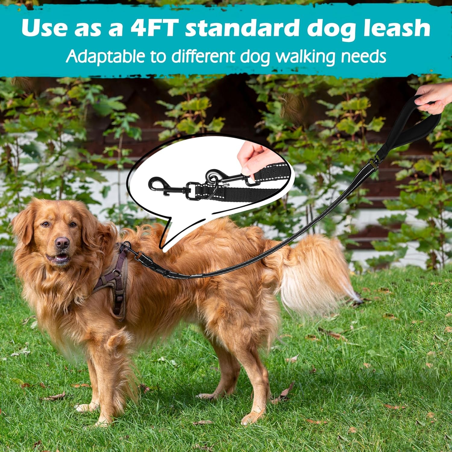 petbonus-two-point-control-dog-leash-no-tangle-training-walking-leashes-soft-padded-handle-reflective-works-with-no-pull-harnesses-converts-to-single-lead-for-medium-large-dogs-black