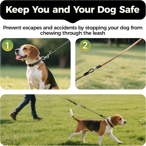 Chew Proof Dog Leash, 2 Pack Metal Cable Lead Collar Extender Non-Tangle Connect Dog Leash for Teething Puppies Small Medium and Large Dogs for Collars and Harnesses (5Mm, M)6