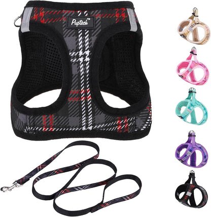 PUPTECK Dog Harness and Leash Set for Small Medium Dogs No Pull Step-In Soft Mesh Puppy Cat Vest Harnesses Reflective at Night, Green S24