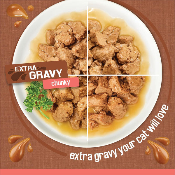 Purina Friskies Extra Gravy Wet Cat Food Chunky 24Ct Variety Pack (With Chicken, Turkey, Salmon, Beef) - (Pack of 24) 5.5 Oz. Cans4