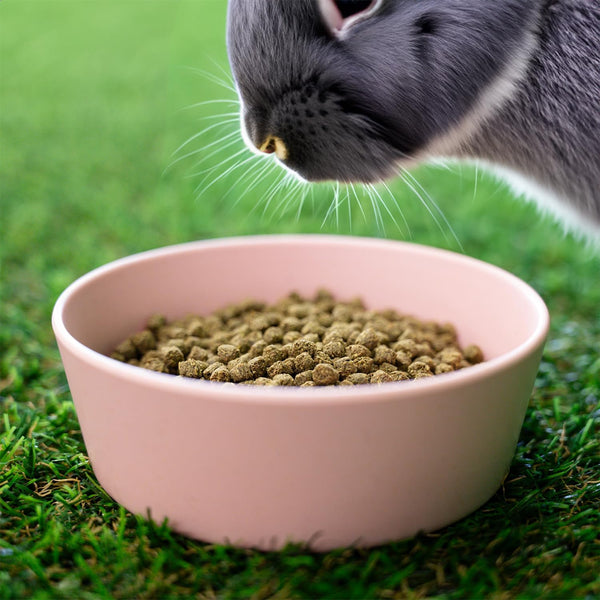 Blue Seal Fresh Show Hutch Deluxe 17 Rabbit Food - Resealable Packaging to Hold in Freshness, Promotes a Healthy Digestive System and Proper Intake - 4.5 LB Bag7