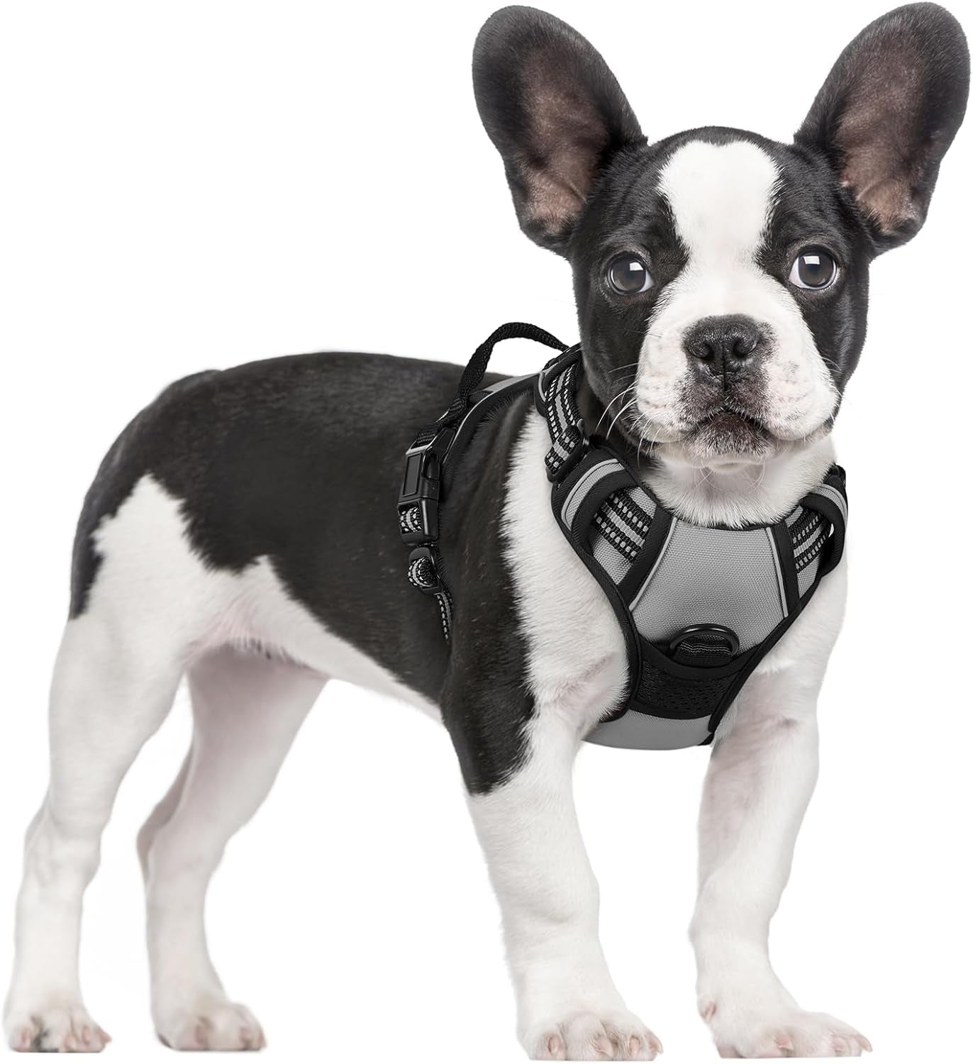 rabbitgoo-dog-harness-no-pull-for-large-dogs-with-2-leash-clips-pet-vest-no-choke-with-handle-adjustable-soft-padded-reflective-easy-control-for-walking-black-large