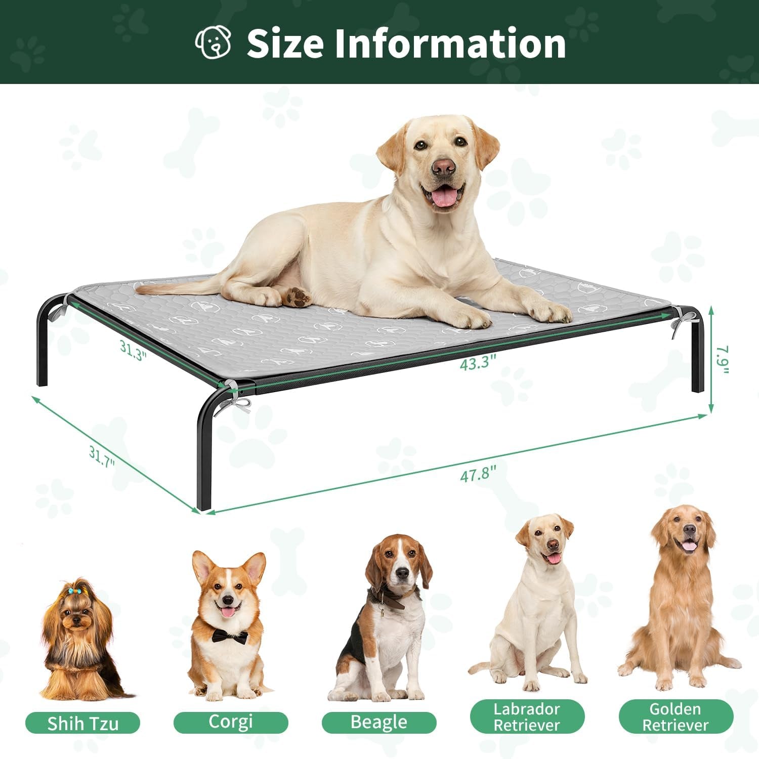 pjyucien-raised-dog-bed-with-pad-48-gray