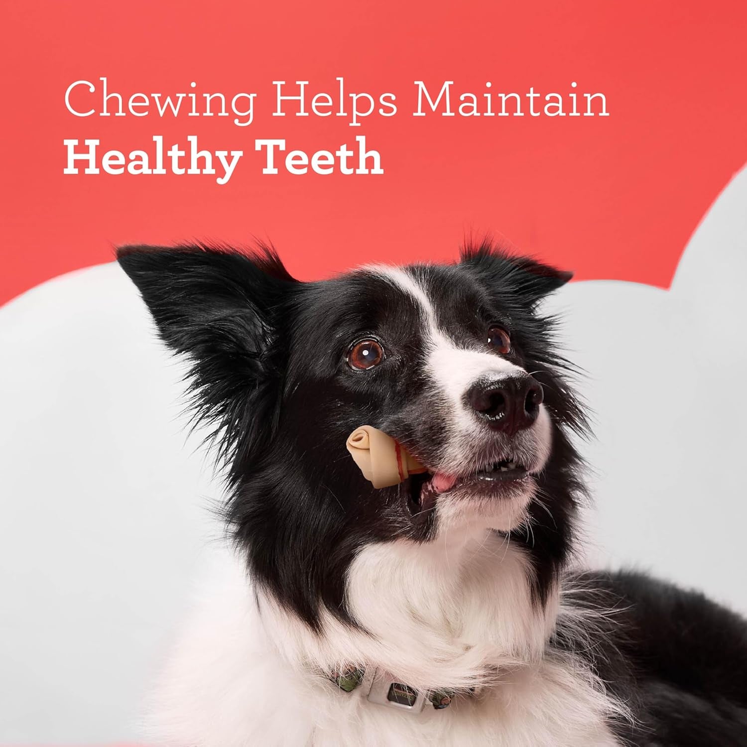 dreambone-chicken-mini-bone-dog-treats-daily-rawhide-free-chew-digests-safely-and-completely-with-real-protein-chicken-and-veggies-50-count