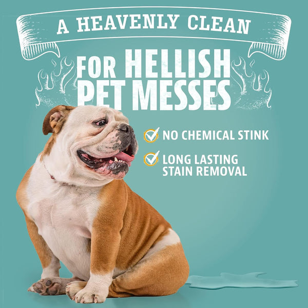 Angry Orange Stain Remover - 32Oz Enzyme Pet Cleaner - Dog & Cat Urine Destroyer and Stain Remover - Citrus Spray Cleaning Solution - Puppy Supplies6