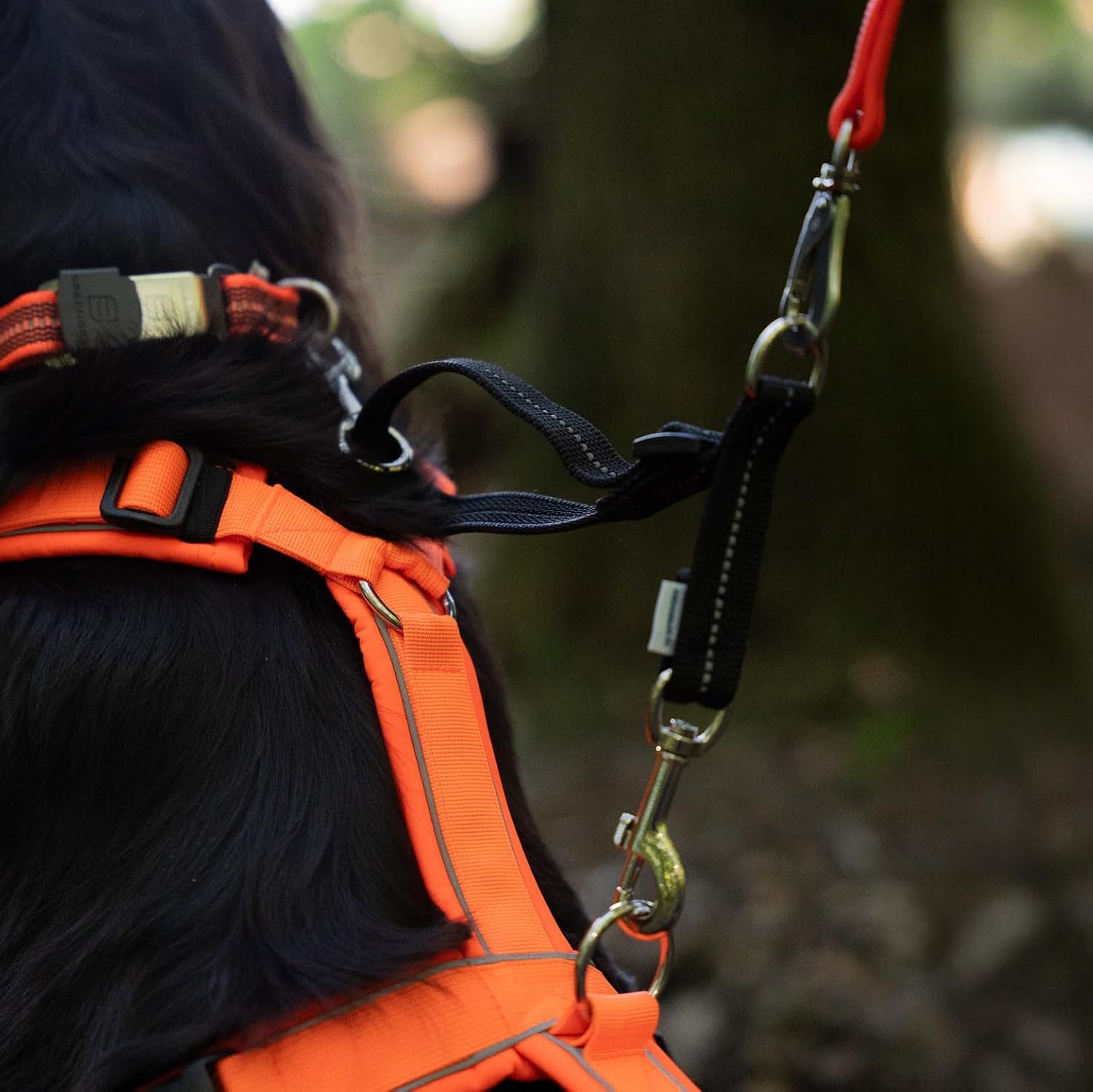 herm-sprenger-adjustable-coupling-strap-reflective-nylon-2-way-dog-leash-coupler-with-nickel-plated-swivel-clip-safety-backup-strap-for-prong-flat-collars-red