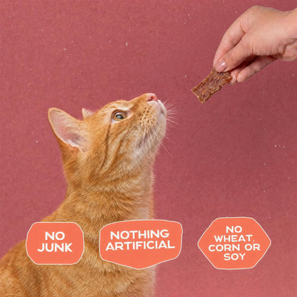 Smart Cookie Salmon Jerky Cat Treats – Real Salmon & Flaxseed, Omega-3S for Skin & Coat, Grain Free, High Protein, Handcrafted Natural Treat – Made in the USA (Pack of 1)8