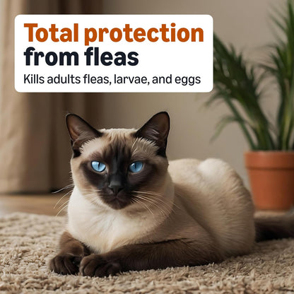 Amazon Basics Topical Flea Treatment for Medium Cats (5-9 Pounds), 4 Count, Packaging May Vary3