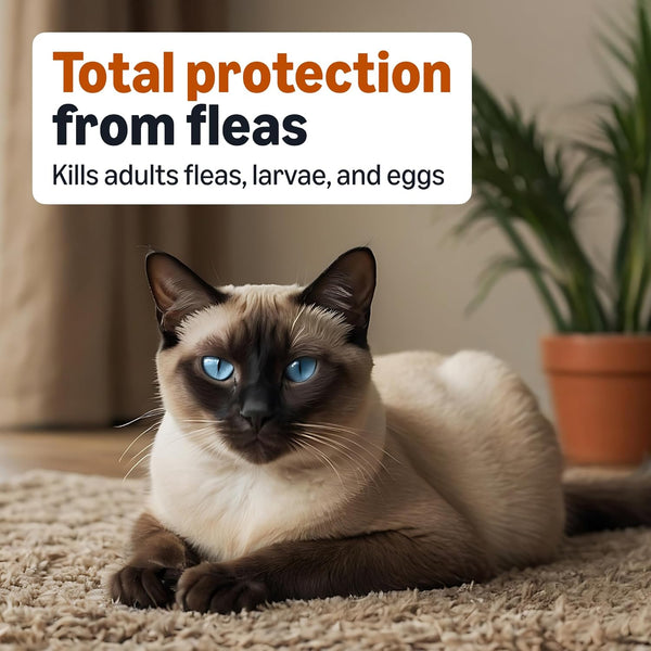 Amazon Basics Topical Flea Treatment for Medium Cats (5-9 Pounds), 4 Count, Packaging May Vary3