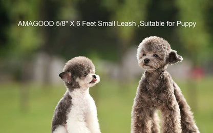 AMAGOOD 6 FT Puppy/Leash, Strong Traditional Style with Easy to Use Collar Hook, Great for Small, Medium and Large Dogs (5/8In X 6 Ft, Purple)7