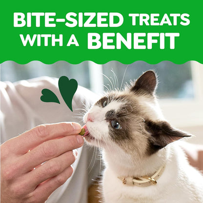 Greenies Feline Smartbites Kitten Treats, Chicken Flavor, 2.1 Oz | DHA for Brain & Vision Development, Supports Immune System, under 2 Cal/Treat, No Artificial Flavors/Preservatives, 1 Lb. Tub6