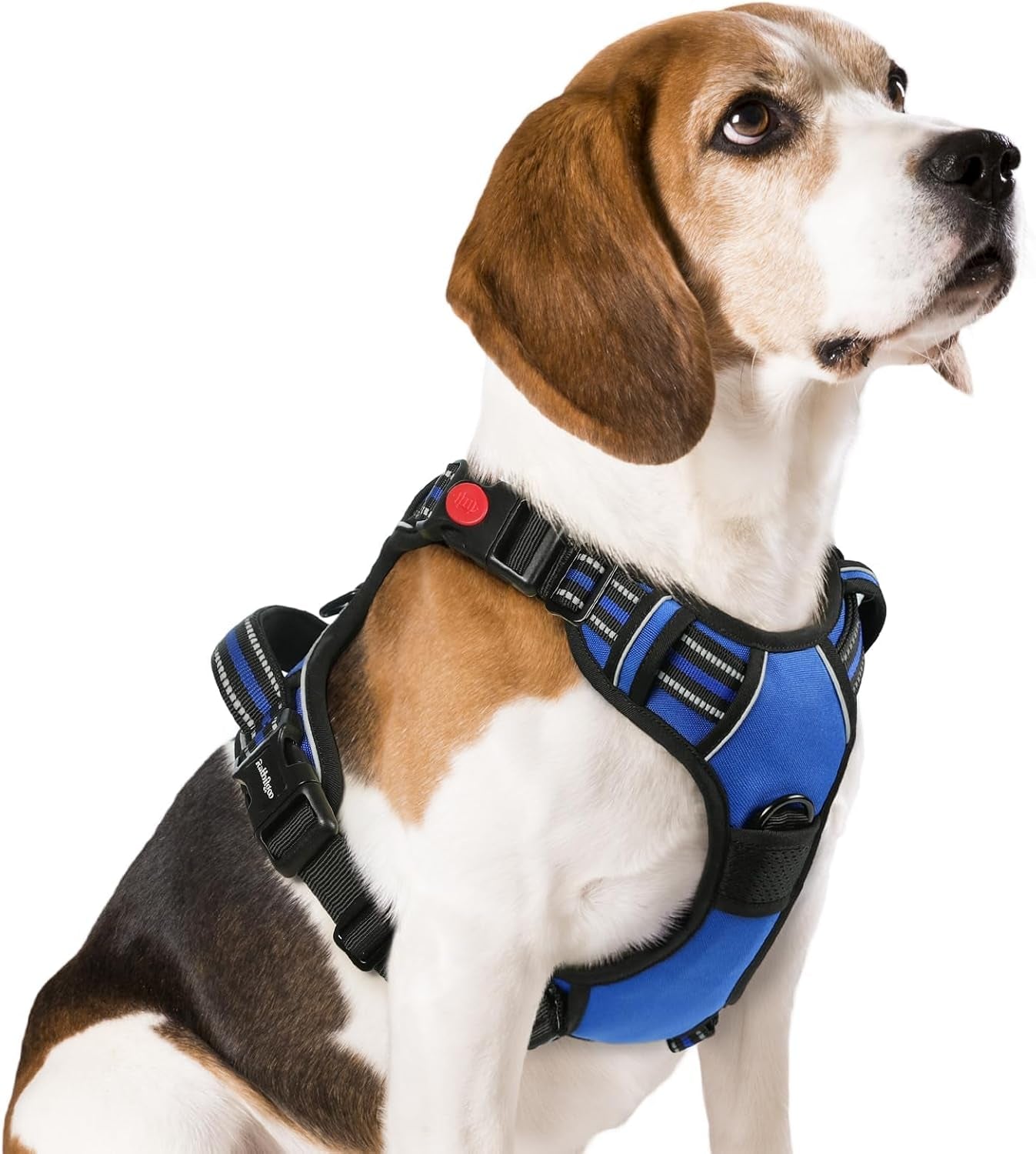 rabbitgoo-dog-harness-medium-sized-updated-easy-on-off-with-3-buckles-no-pull-no-choke-walking-with-2-clips-and-handle-adjustable-soft-reflective-blue-medium