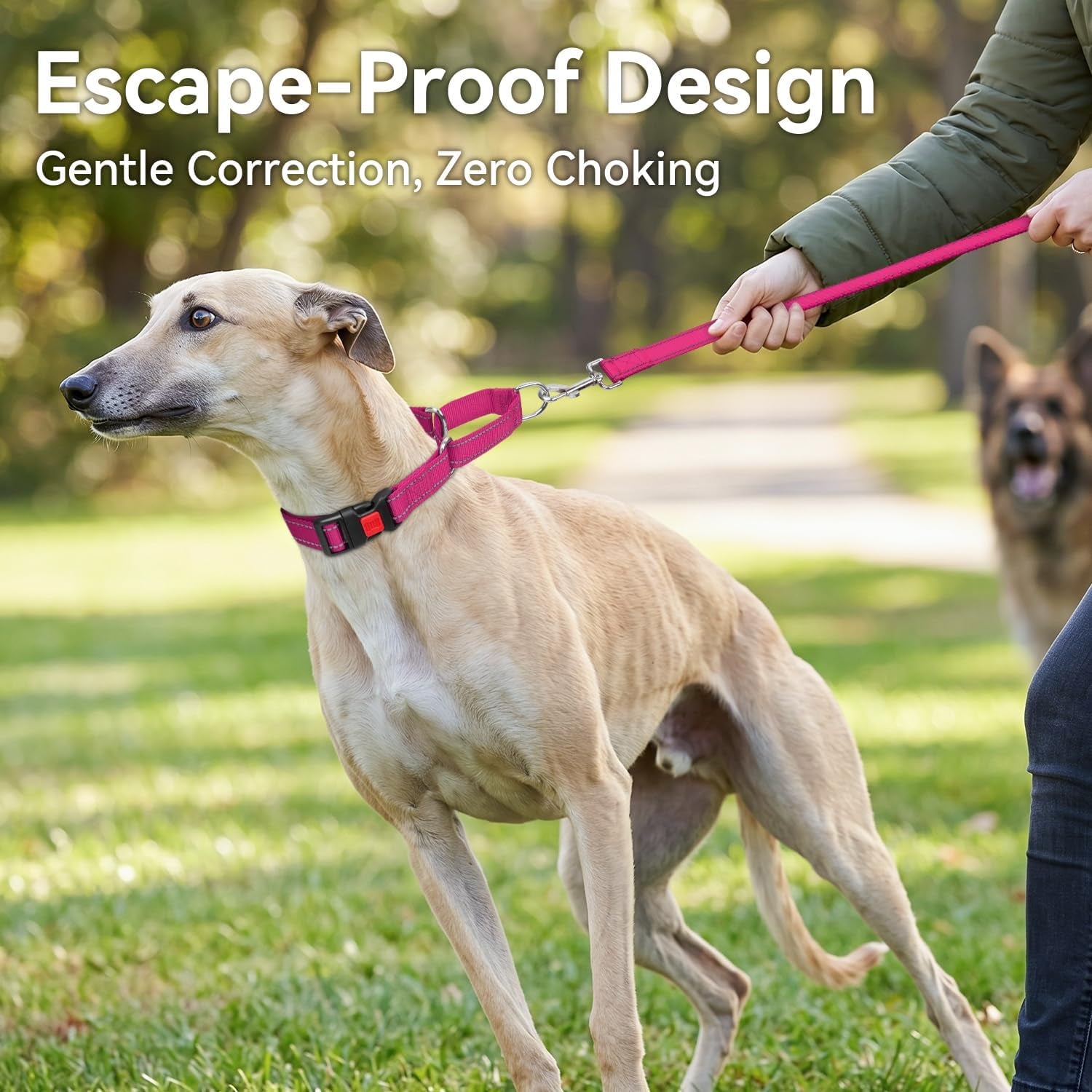 joytale-martingale-collar-for-dogs-escape-proof-no-pull-hotpink-m-gentle-cinch-stops-pulling-without-choking-safety-lock-buckle-reflective-stitching-for-night-walks-soft-nylon