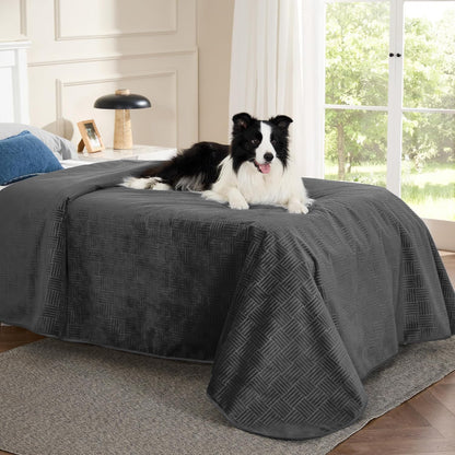 Bedsure Waterproof Couch Cover for Dogs Washable - Waterproof Blanket for Large Dogs Couch Sofa Bed Cozy, Lightweight Furniture Protector for Pet Cat Quick Drying, Ash Grey, 52X82In19
