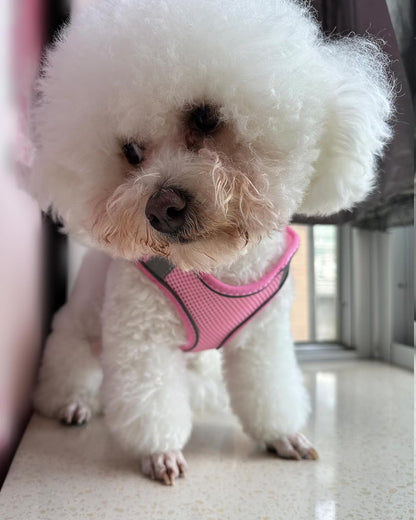 SOLMOONY Dog Harness for Small Medium Large Dogs No Pull, Puppy and Leash Set, Dogs, Step in Harness, Mesh Harness. (Pink, XS)2