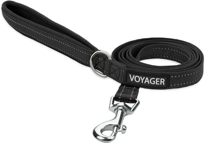 Best Pet Supplies Voyager Nylon Dog Leash - Fuchsia, Small | 5Ft in Length, 5/8" in Width, Reflective, Soft Neoprene Handle, Heavy Duty Metal Clips for Running, Walking & Training18