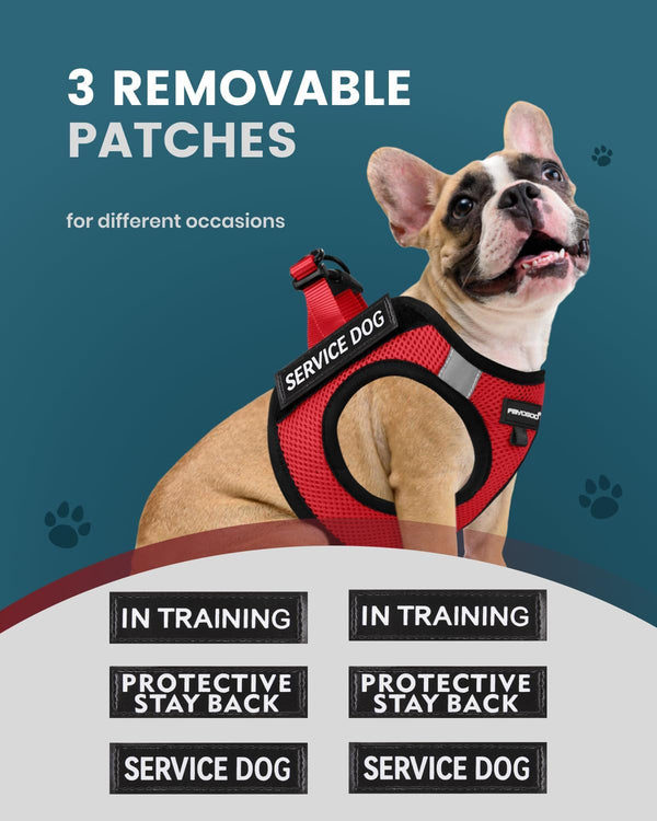 FAYOGOO Service Dog Vest for Small Dogs - Lightweight Dog Harness with 6PCS Removable Patches - Puppy Harness and Leash Set for Walking,Training2