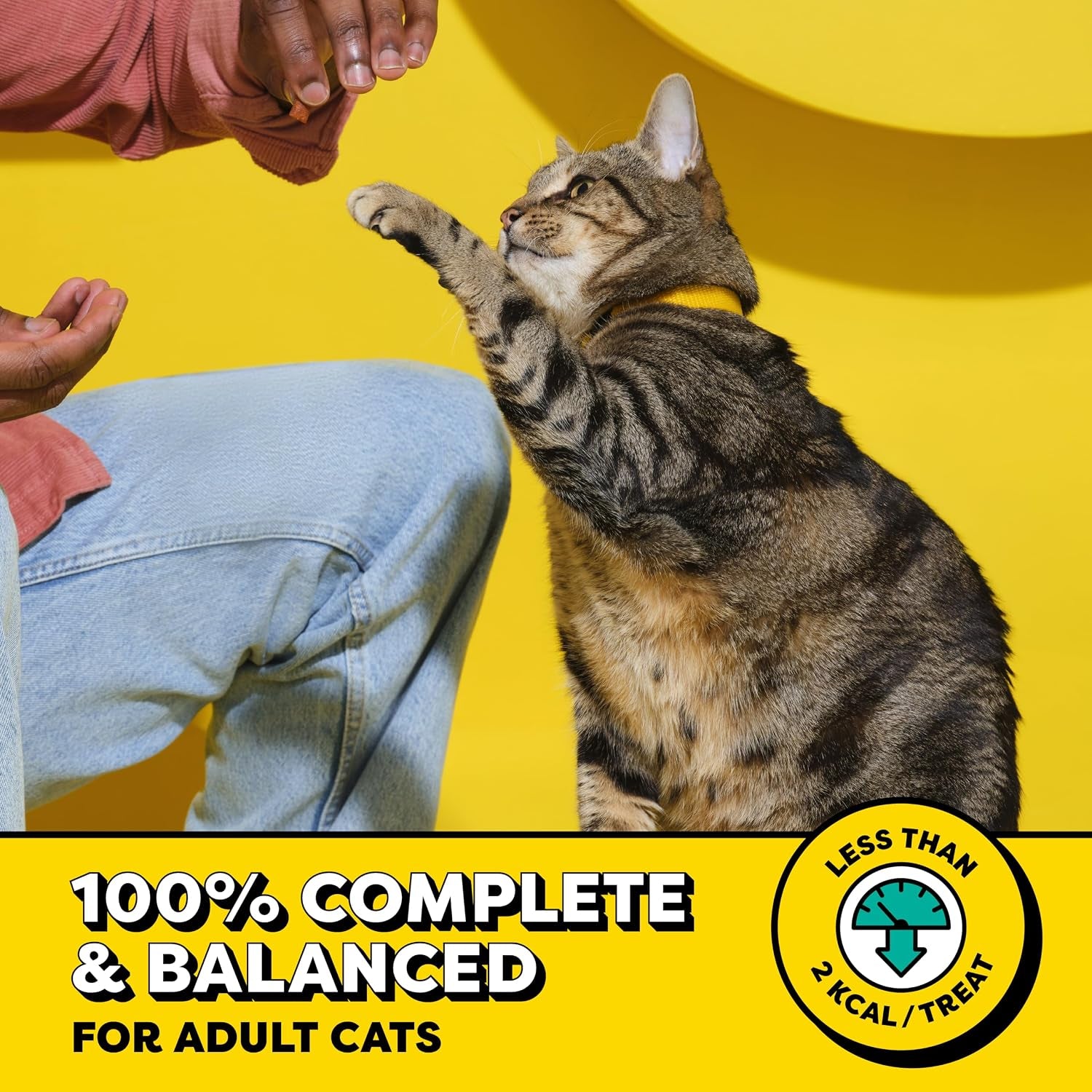 temptations-classic-crunchy-and-soft-cat-treats-creepy-catnip-16-oz-under-2-calories-per-treat-100-complete-balanced-for-adult-cats-resealable-stay-fresh-tub-use-as-snack-meal-or-topper