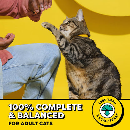 Temptations Classic Crunchy and Soft Cat Treats, Creepy Catnip, 16 Oz | under 2 Calories per Treat, 100% Complete & Balanced for Adult Cats, Resealable Stay-Fresh Tub, Use as Snack, Meal, or Topper3