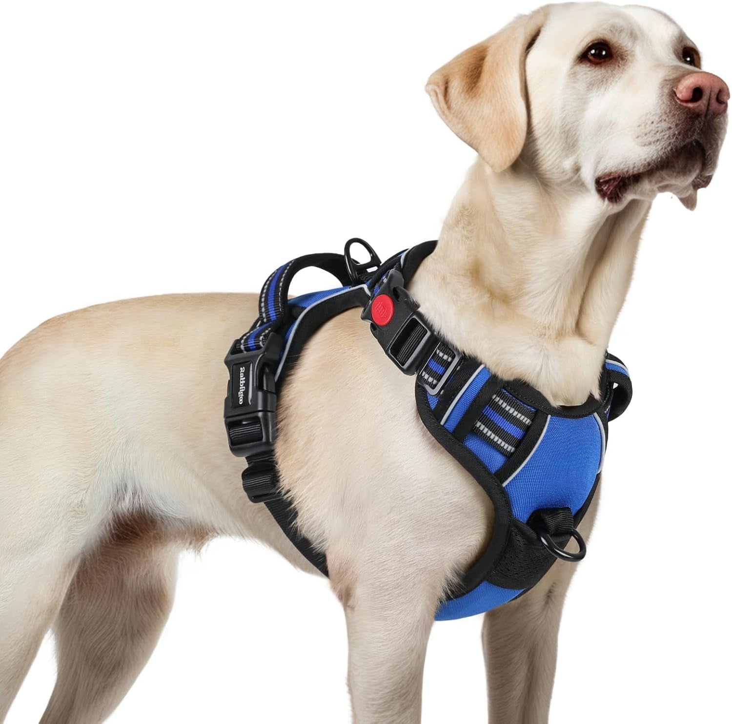 rabbitgoo-dog-harness-medium-sized-updated-easy-on-off-with-3-buckles-no-pull-no-choke-walking-with-2-clips-and-handle-adjustable-soft-reflective-blue-medium