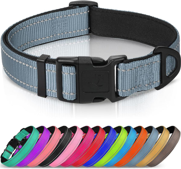 Joytale Reflective Dog Collar, Adjustable Neoprene Padded, Teal L | Breathable Nylon for Large Dogs, No Chafing on Walks and Outdoor Hikes, Tear-Resistant Webbing, Metal D-Ring, Night Safety17