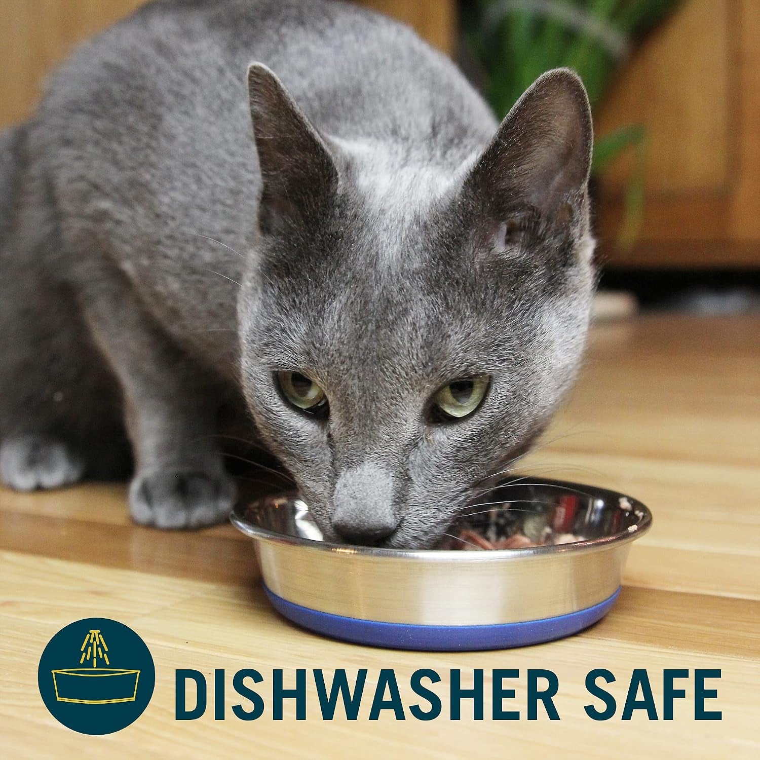 our-pets-durapet-stainless-steel-non-slip-cat-food-bowl-or-water-bowl-holds-up-to-1-cup-of-wet-or-dry-food-easy-to-clean-holds-wet-or-dry-meals-easy-to-rinse-clean-grippy-base-keeps-it-in-place-during-mealtime-durable-everyday-feeding-dish