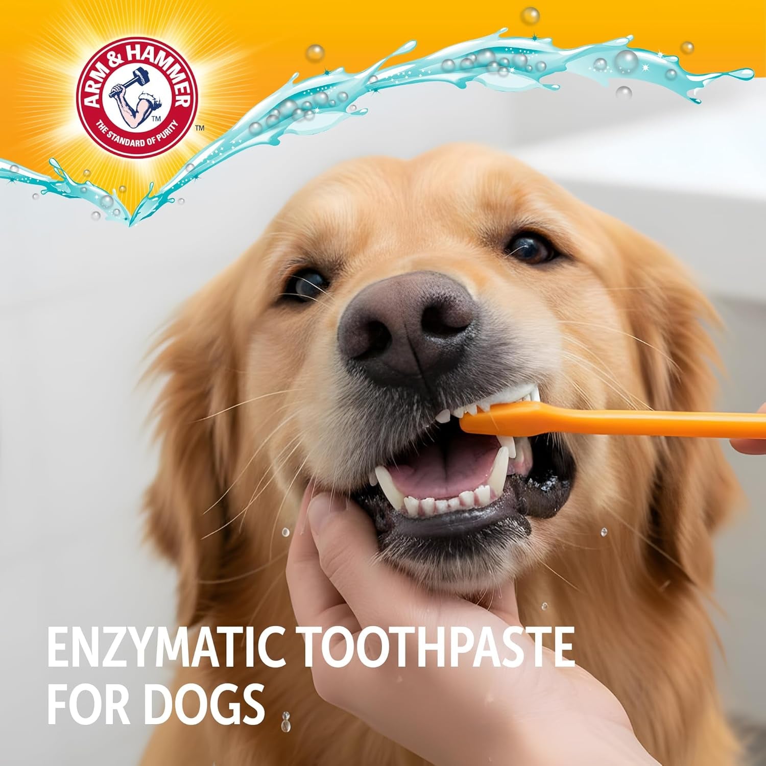arm-hammer-complete-care-enzymatic-dog-toothpaste-chicken-6-2-oz-fluoride-free-formula-with-baking-soda-and-calcium-fights-plaque-and-tartar-freshens-breath-value-size
