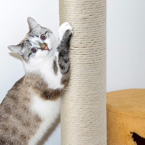 Arrowbash 8 Pcs M8 Cat Scratching Post Replacement 15.7X3.1'' Sisal Pole Cat Tree Climbing Post Replacement with Screw, Refill Scratcher Pole for Indoor Kitten Tree Tower Spare Pet Furniture Protector4