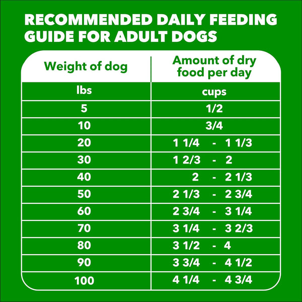 IAMS Proactive Health Adult Minichunks Dry Dog Food, Chicken, 30 Lb | Real Chicken #1 Ingredient, No Fillers, Natural Fiber & Prebiotics, Omega-6 Fatty Acids, Antioxidants for Immune Support10