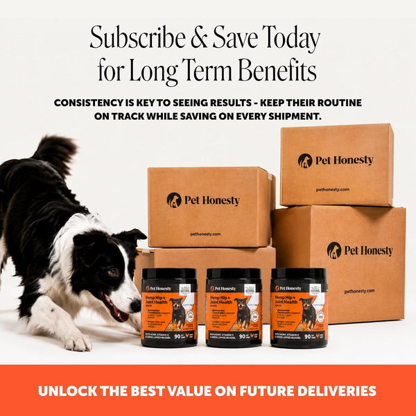 Pet Honesty Vet Recommended Hip and Joint Supplement for Dogs, 90 Count | Advanced Strength Dog Joint Supplement with Glucosamine Chondroitin, Chicken, Supports Mobility, Eases Stiffness6