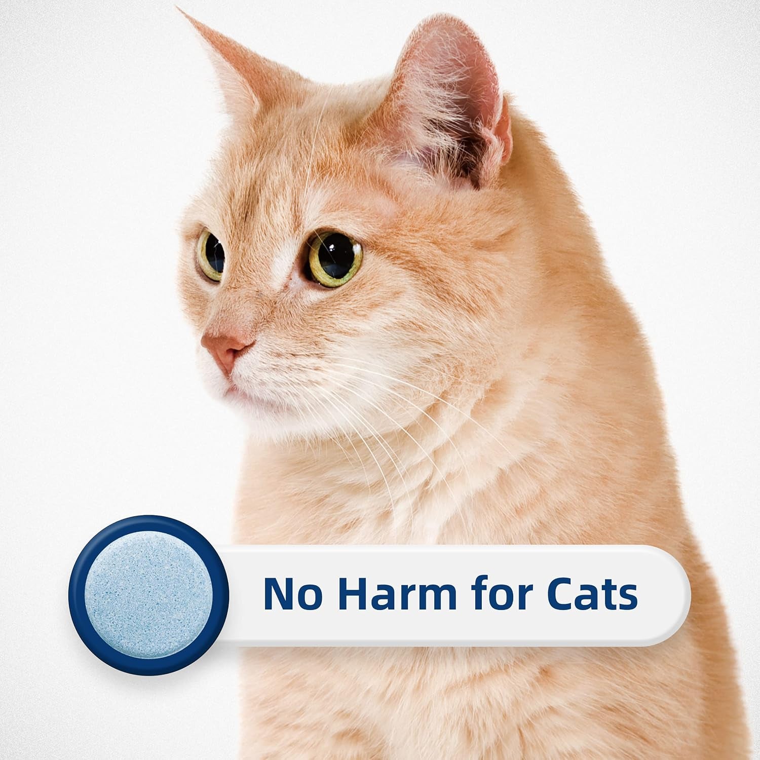 honey-care-all-absorb-cat-litter-odor-eliminator-tablets-丨-refresh-smell-long-lasting-scent-away-jasmine-fragrance-10pcs-box-4-10-weeks-blue