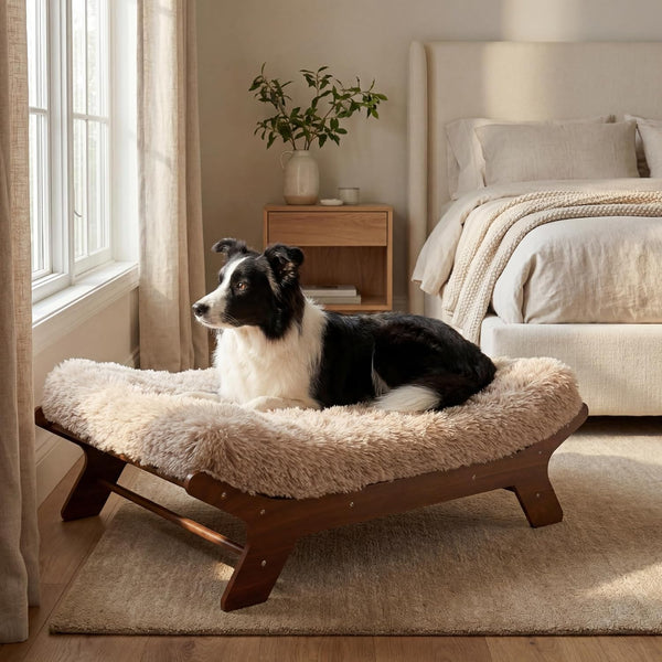 Muihood Elevated Wooden Dog Bed with Foam Mattress, Walnut, Large | Raised Dog Bed with Washable Cover, Supportive Foam Mattress, Perfect for Large Dogs and Indoor Living9