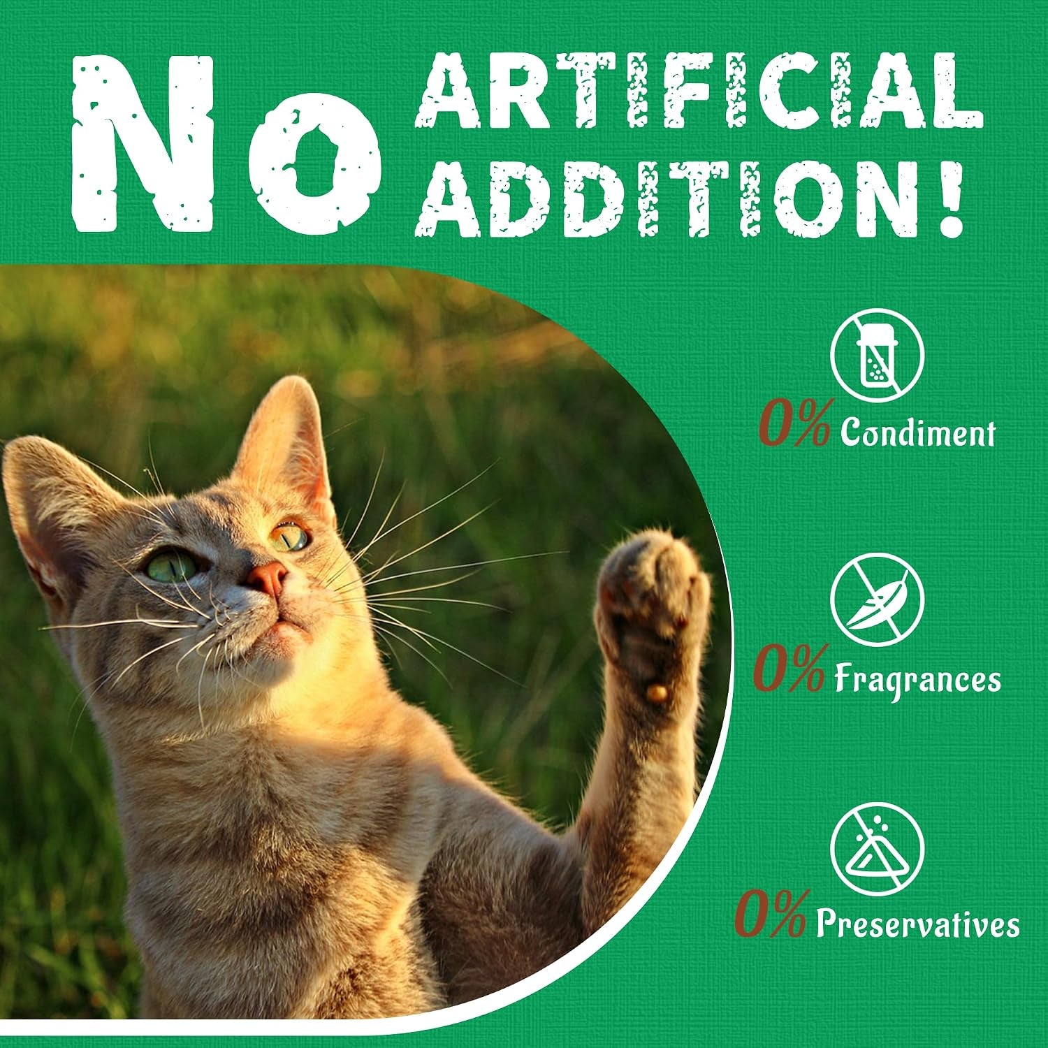 just-try-13-4-oz-crunchy-cat-treats-catnip-treats-for-cats-with-digestive-support-natural-ingredients-kitten-treats-with-real-salmon-healthy-feline-snacks-training-biscuits-dental-care-natural-chicken-catnip-crunchy-cleans-teeth-fiber-reduces-hairballs-perfect-training-rewards-for-all-cats