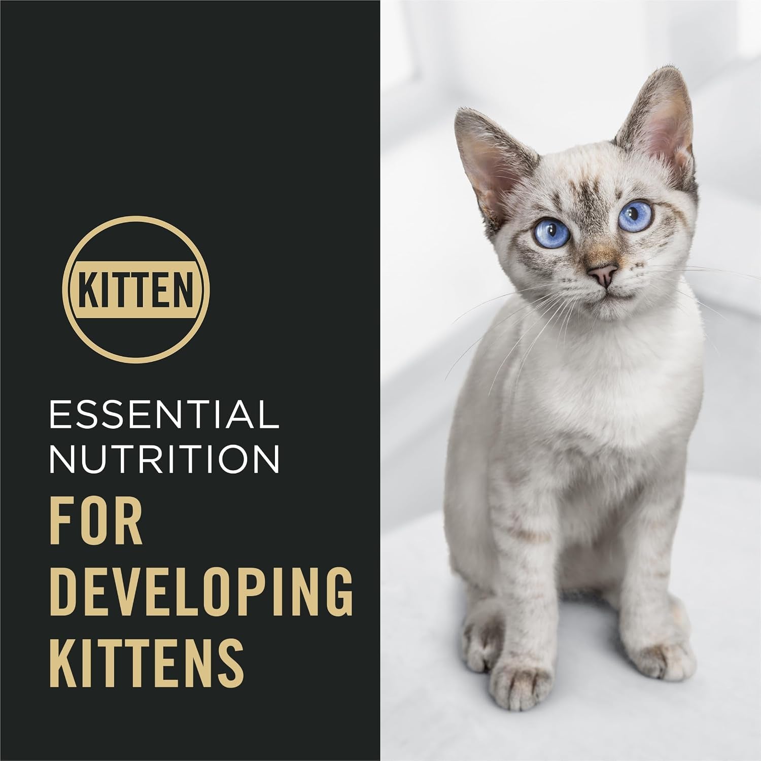 purina-pro-plan-kitten-dry-food-complete-essentials-chicken-and-rice-formula-3-5-pound-pack-of-1