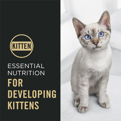 Purina Pro Plan Kitten Dry Food Complete Essentials Chicken and Rice Formula 3.5 Pound (Pack of 1)3