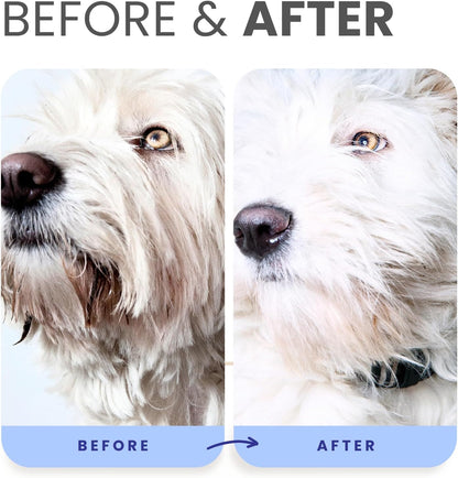 Lillian Ruff PRO Formula Berry Blue Brightening Pet Shampoo - Ultra-Hydrating Professional Whitening Dog Shampoo, Vivid Show-Quality Coat Enhancer, Tear Stain & Odor Eliminator with Provitamin B5 16Oz6