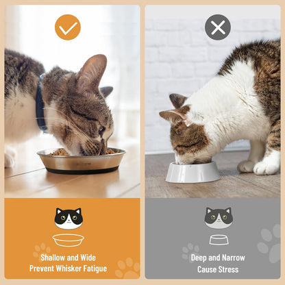 Cat Bowls, 2 Pcs Stainless Steel Cat Bowls for Food and Water, Whisker Fatigue Shallow Non-Slip Dishes Plates for Small Dog Puppies Cats3