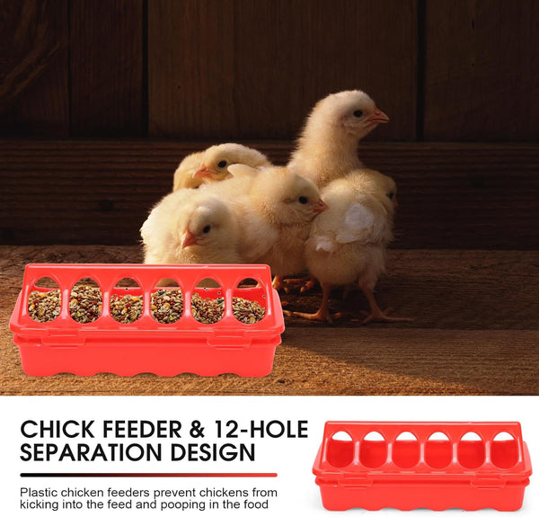 Chick Brooder Box Small Animal Playpen Chick Starter Kit Brooding Playpen with Chicks Heating Plate Perch Feeder Waterer for Duck and Quail Chicken Supplies5
