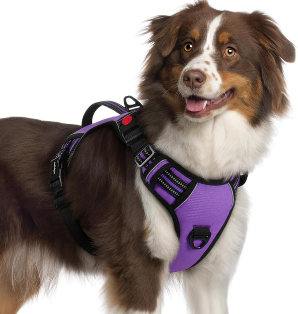 Rabbitgoo Large Dog Harness, Easy Wear with 3 Buckles and Lift Handle | No Pull with Front Clip for Walking, Adjustable Soft Padded, Reflective, Easy Control, Pink, Large24