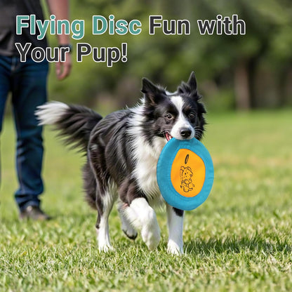 Bifeaw 3 Packs Nylon Interactive Dog Flying Disc - Floating Dog Toys for Aggressive Chewers - Water Toys for Dogs (Blue and Yellow)2
