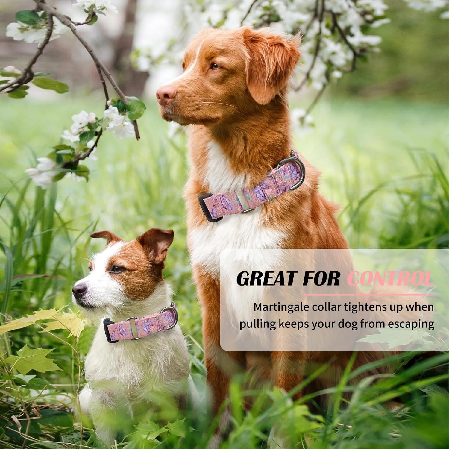 hikiko-martingale-collar-for-dogs-adjustable-soft-nylon-dog-collars-with-cute-patterns-for-small-medium-large-dog-pink-butterfly-medium