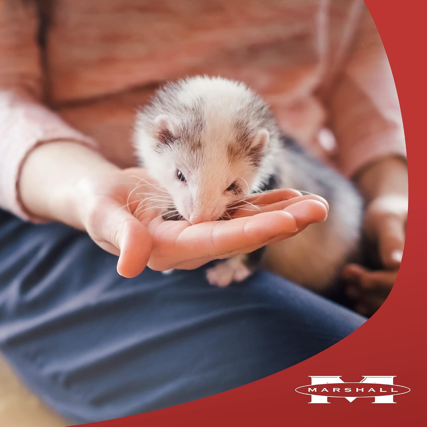 marshall-premium-ferret-diet-senior-formula-4-lbs-supports-digestion-muscle-health-vitality-balanced-nutrition-for-aging-ferrets-with-essential-nutrients