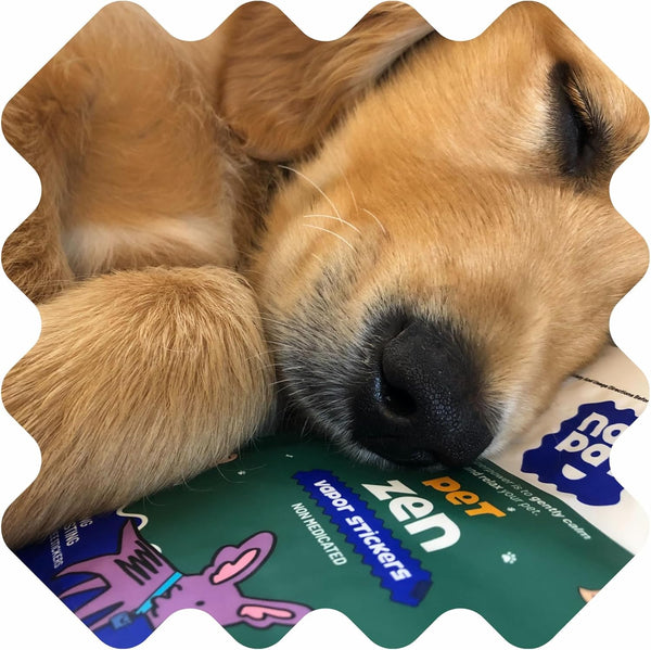 NATPAT Pet Zen Calming Patches for Dogs, Non-Medicated, 24 Count | Plant Based Essential Oils Stress Relief for Travel, Fireworks & Anxiety, Stick-On Design for Collars or Pet Lockets6